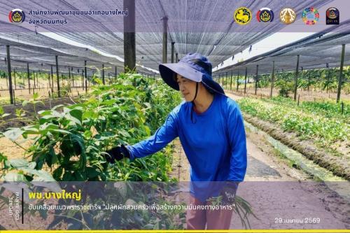 🌈 พช.บางใหญ่ ขับเคลื่อนแนวพระราชดำริฯ "ปลูกผักสวนครัวเพื่อสร้างความมั่นคงทางอาหาร"